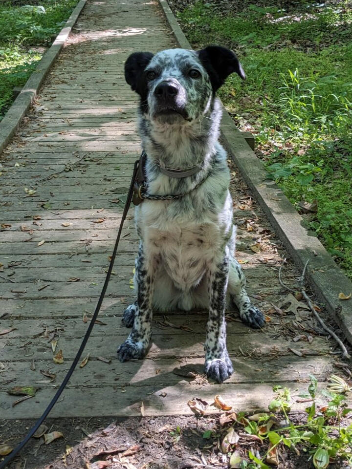 Now Serving Cabarrus County