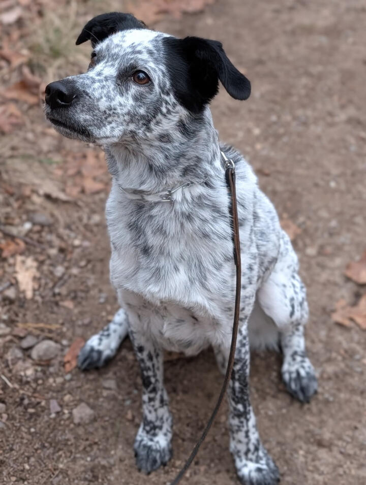 Now Serving Cabarrus County