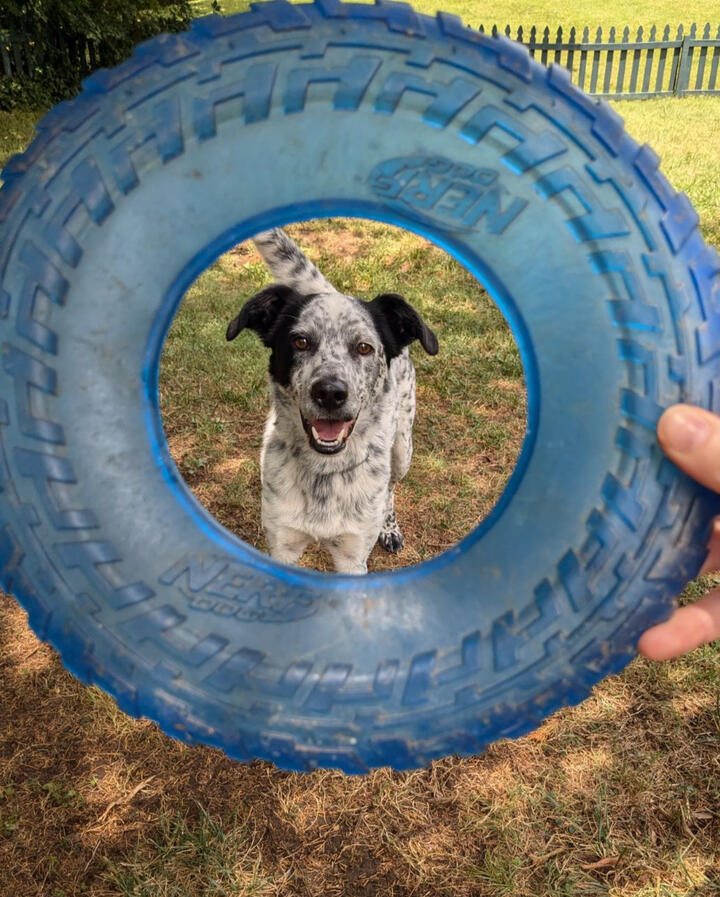 Now Serving Cabarrus County